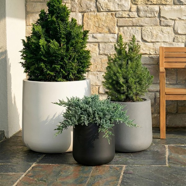 Cylinder Fiberglass Planter2 Cylinder Fiberglass Planter2